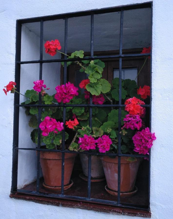 Casa Rural En Grazalema Luaran gambar